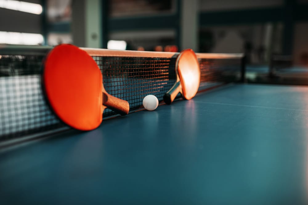 MESA de Mini Ping Pong Verde INTERIOR JOOLA