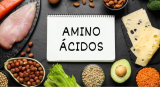 Aminoácidos